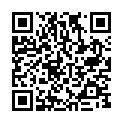 To view this 2008 Chevrolet Impala   from Owen Auto | Buy Here Pay Here Dealer Des Moines, please scan this QR code with your smartphone or tablet to view the mobile version of this page.